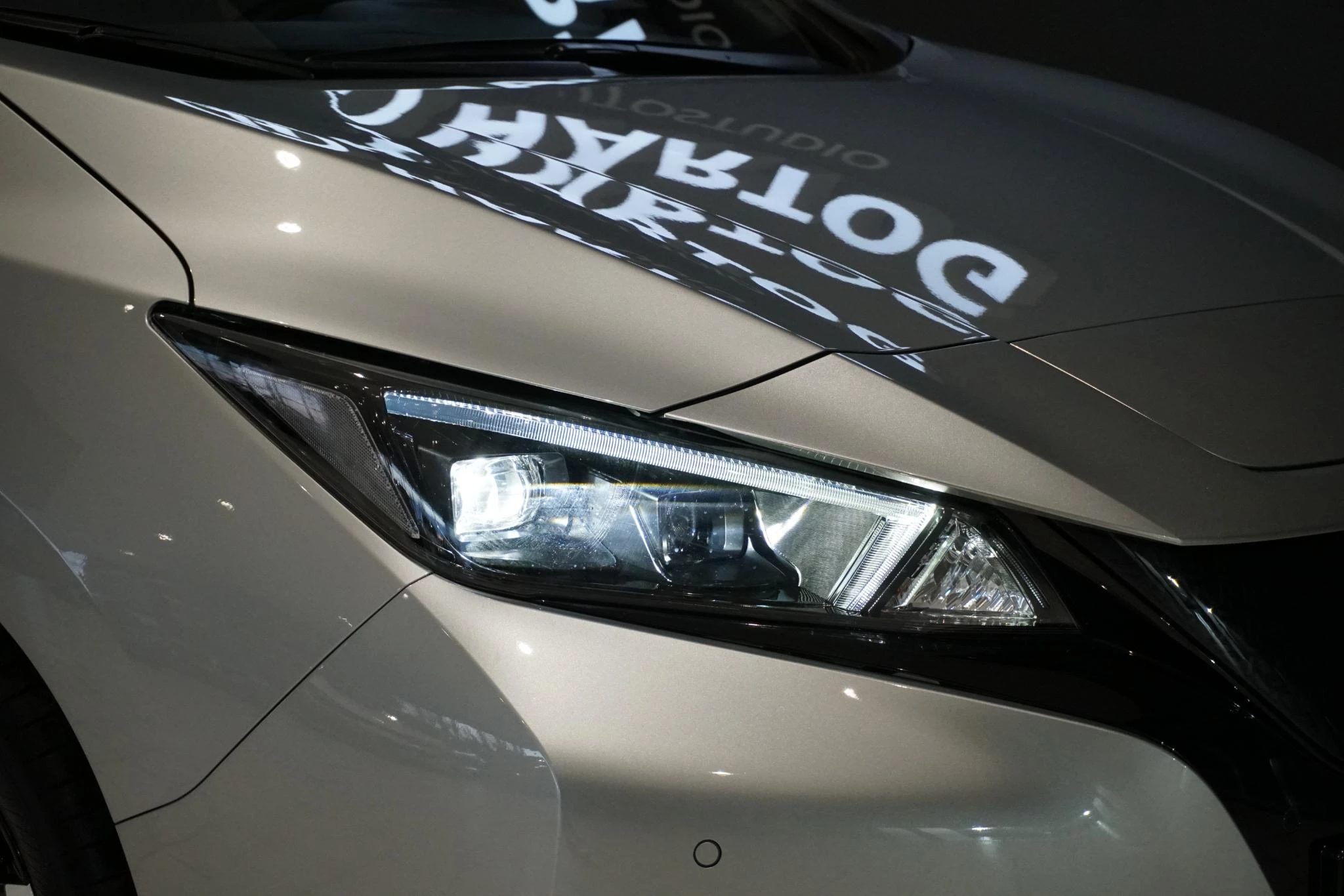 Hoofdafbeelding Nissan Leaf