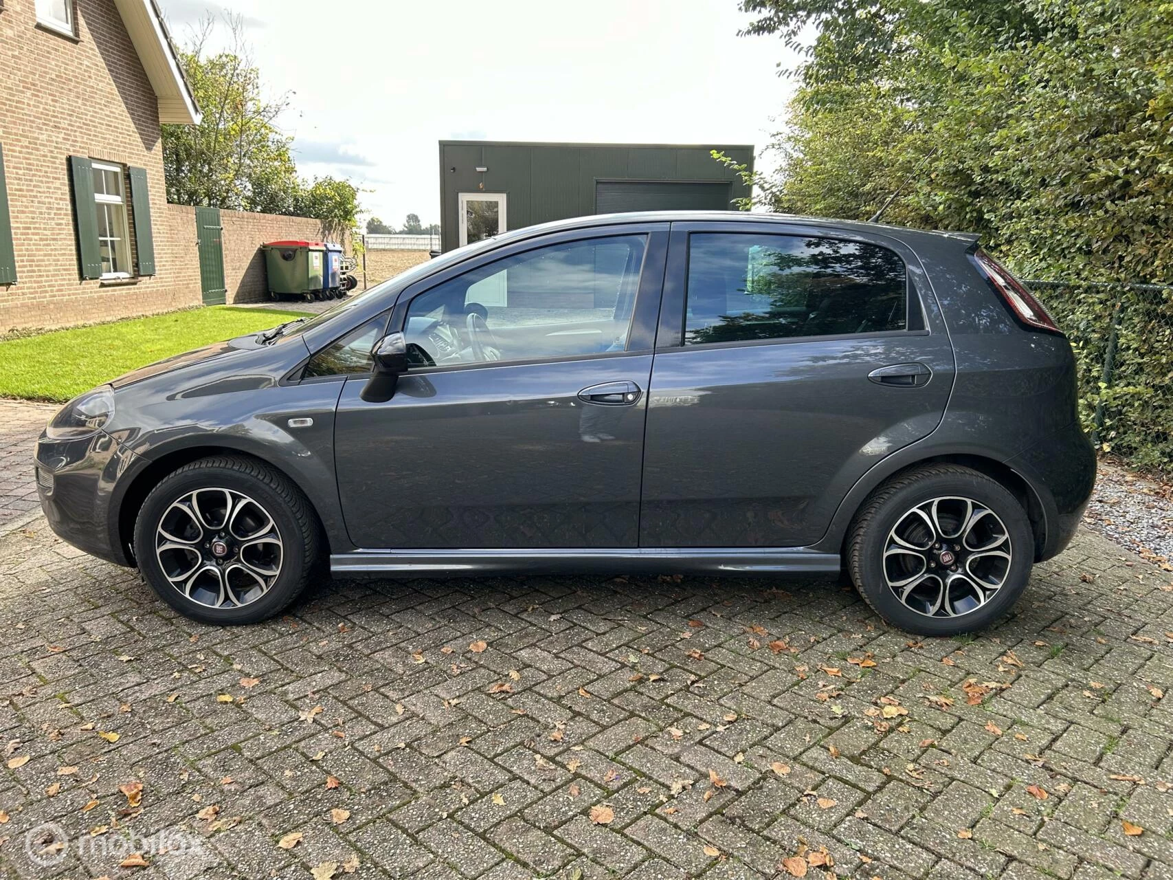 Hoofdafbeelding Fiat Punto