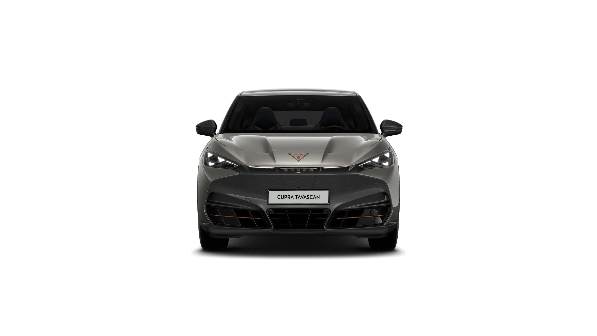 Hoofdafbeelding CUPRA Tavascan