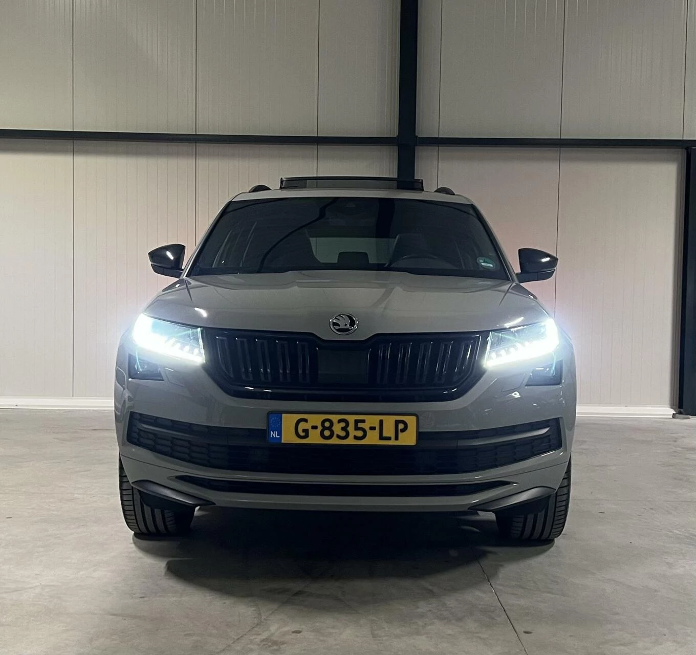 Hoofdafbeelding Škoda Kodiaq