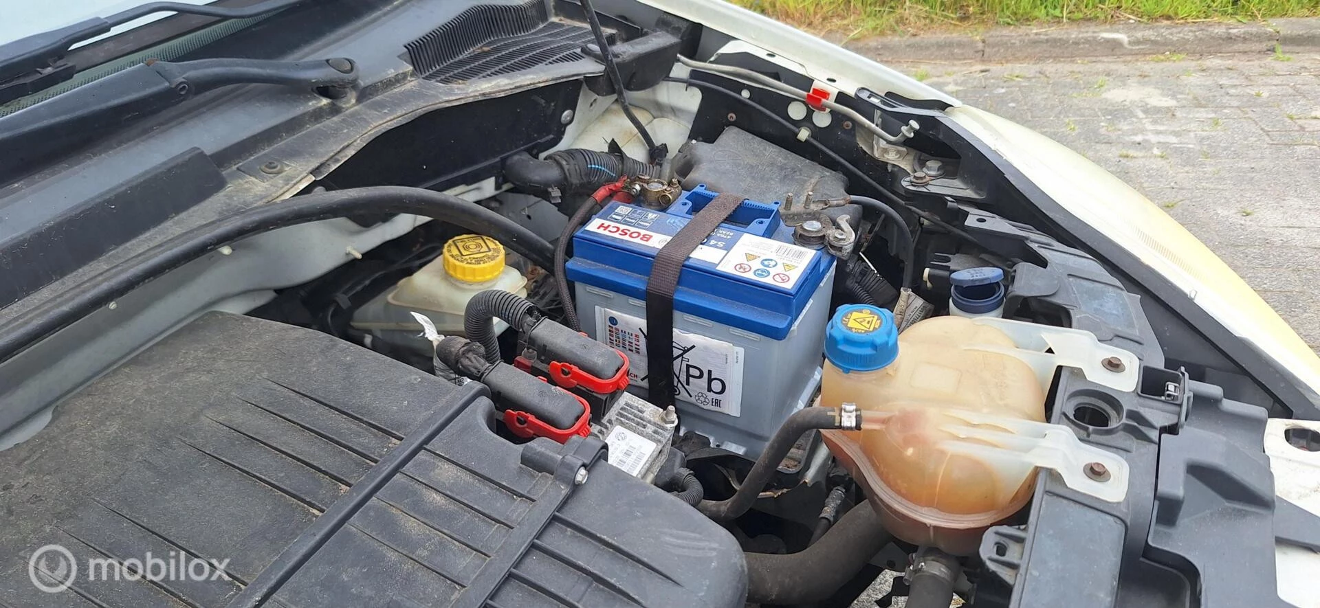 Hoofdafbeelding Fiat Punto