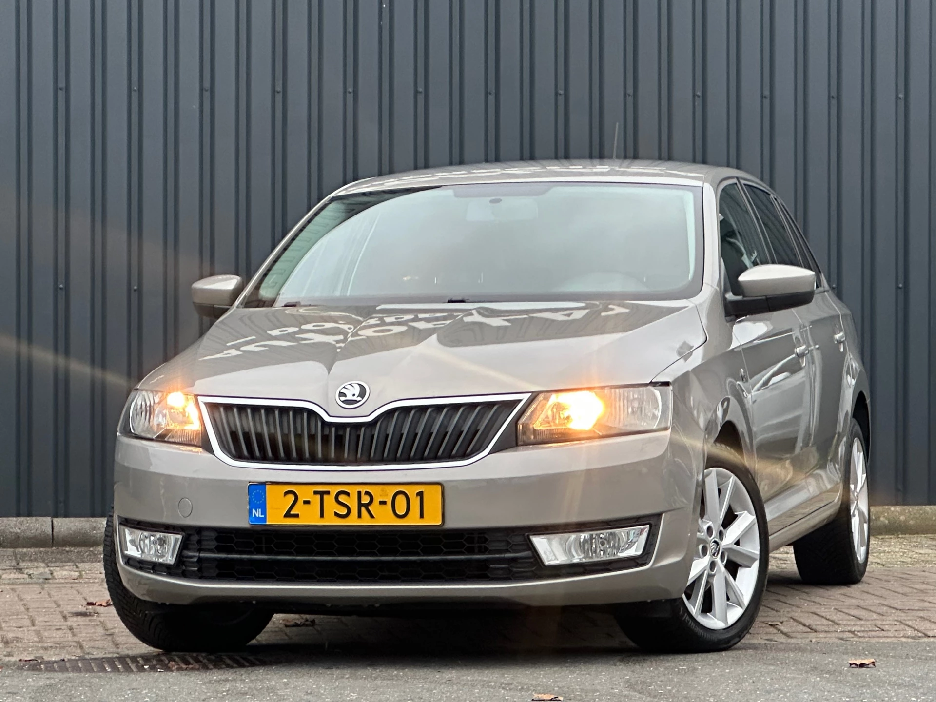 Hoofdafbeelding Škoda Rapid