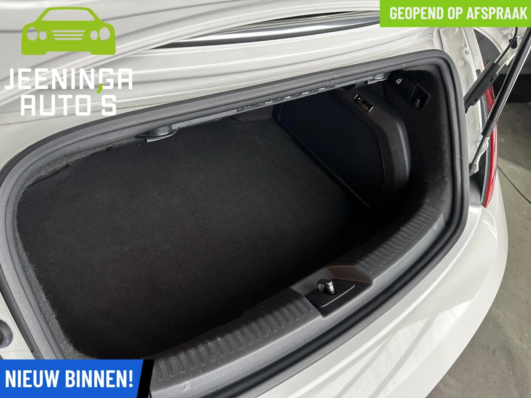 Hoofdafbeelding Volkswagen Beetle