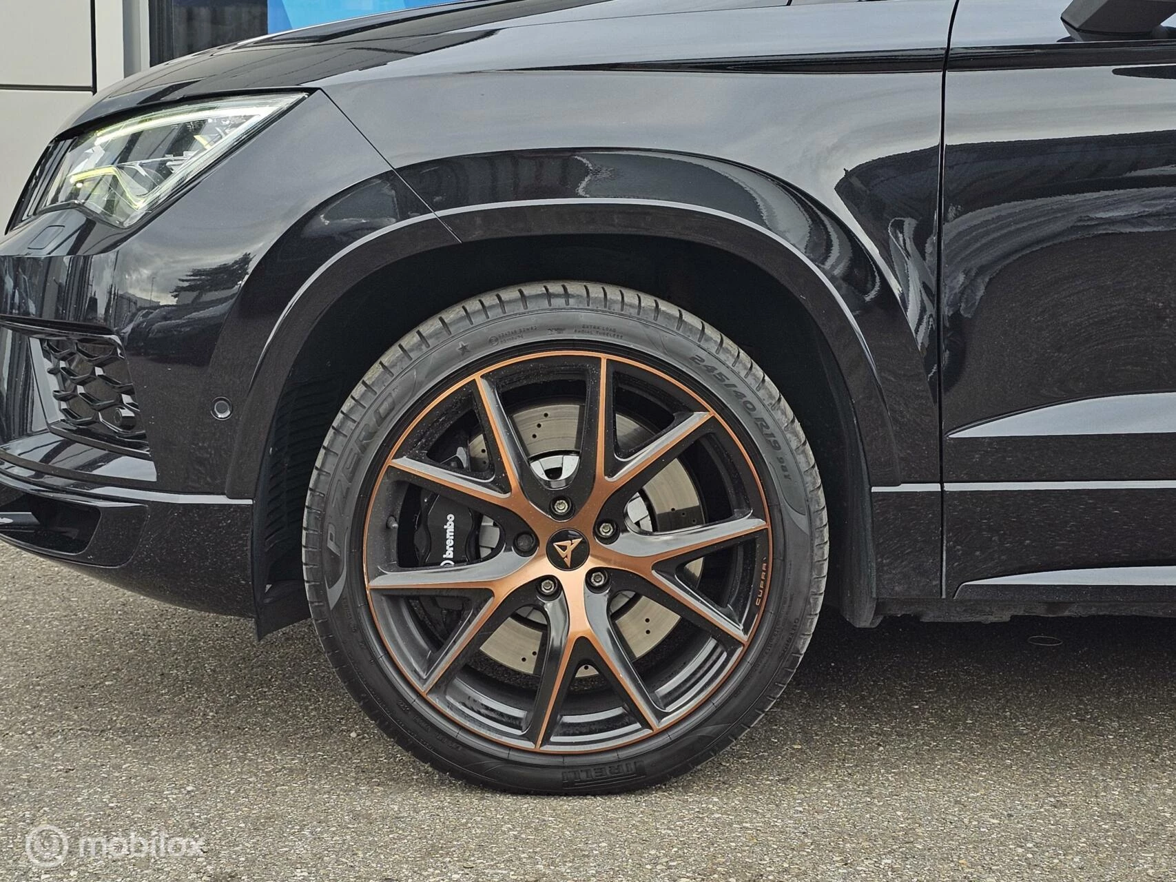 Hoofdafbeelding CUPRA Ateca
