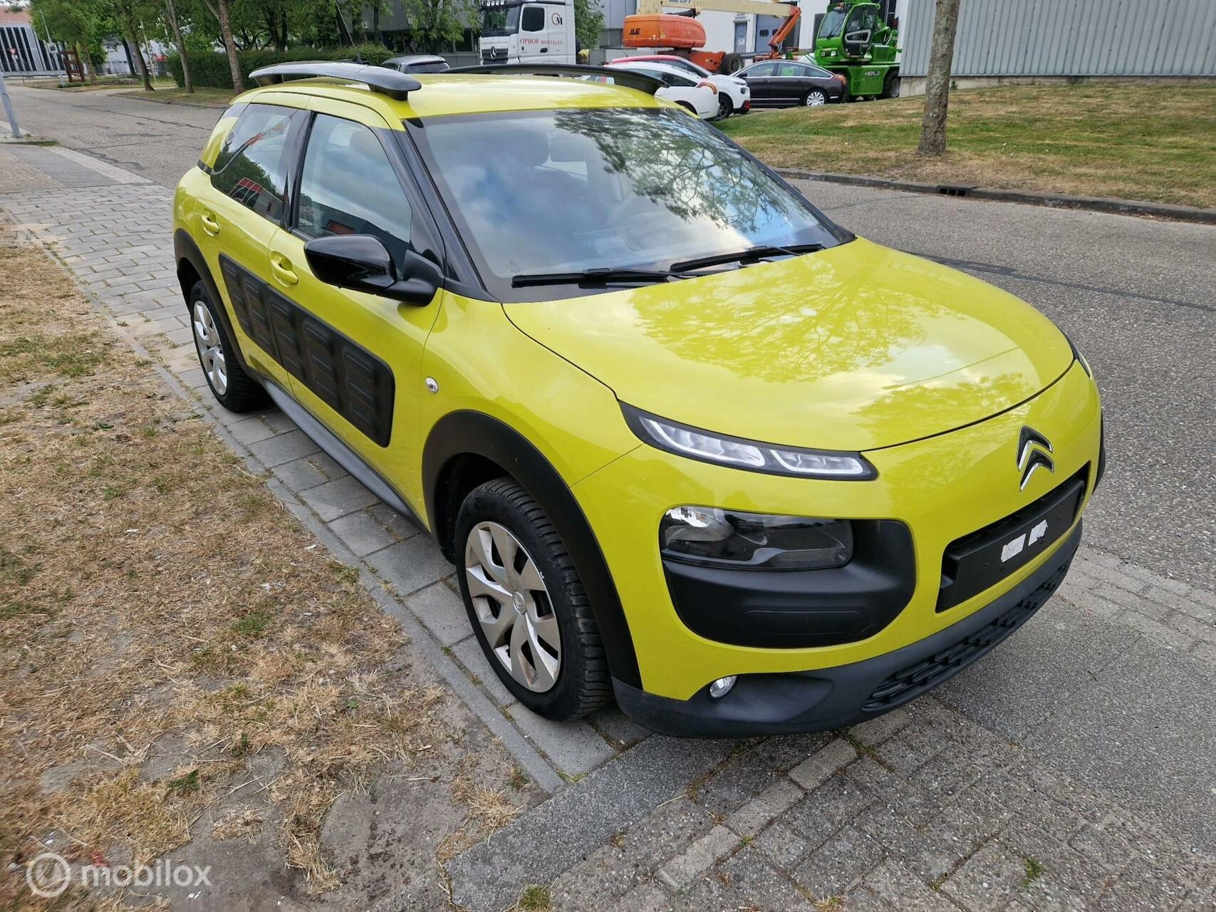 Hoofdafbeelding Citroën C4 Cactus