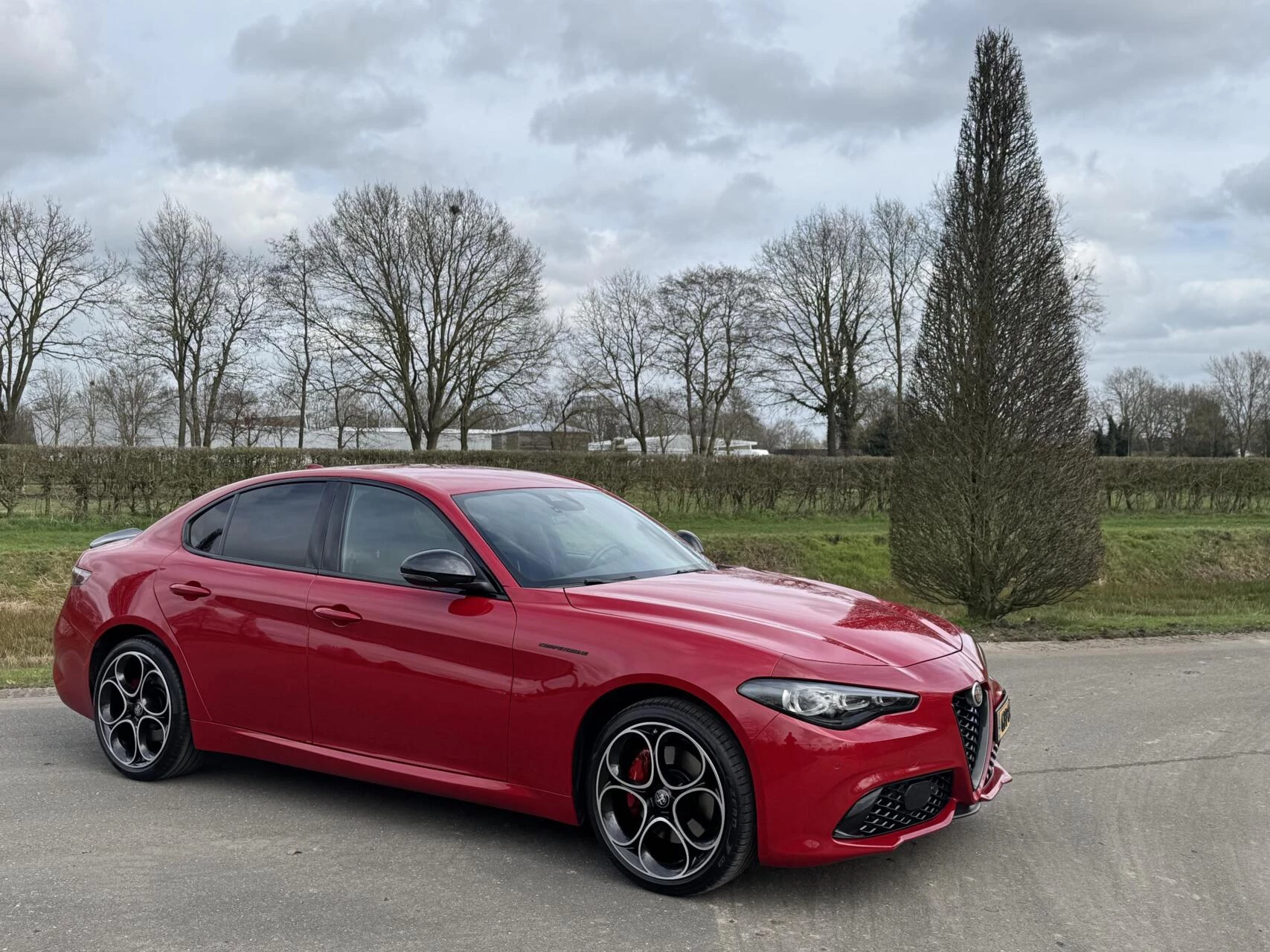 Hoofdafbeelding Alfa Romeo Giulia