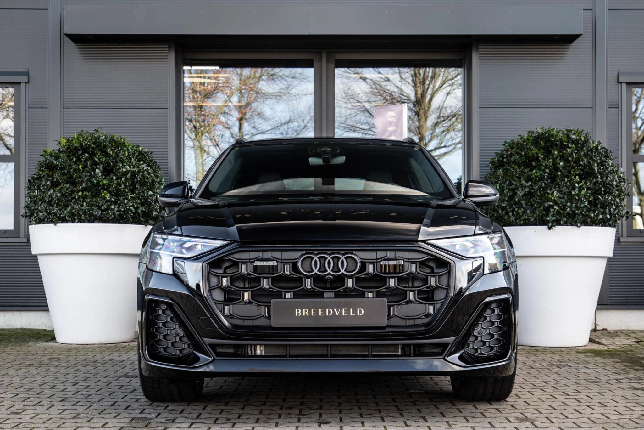 Hoofdafbeelding Audi Q8