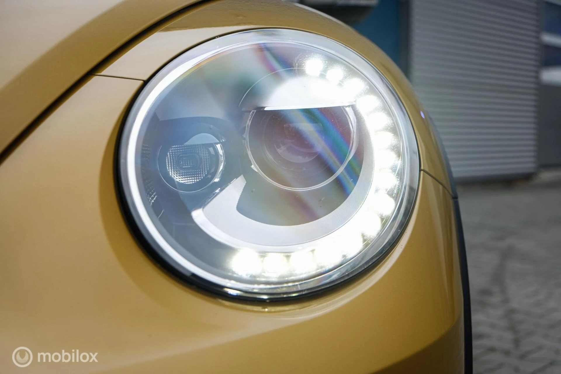 Hoofdafbeelding Volkswagen Beetle