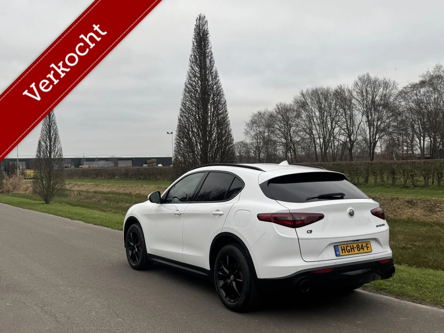 Hoofdafbeelding Alfa Romeo Stelvio