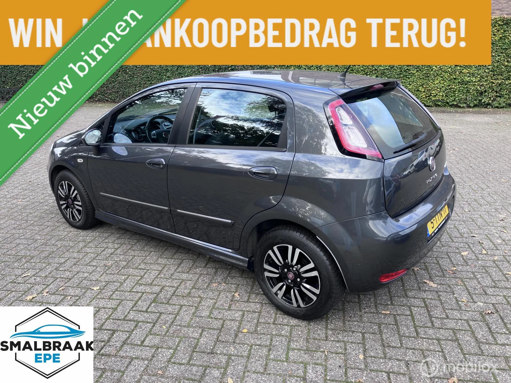Hoofdafbeelding Fiat Punto