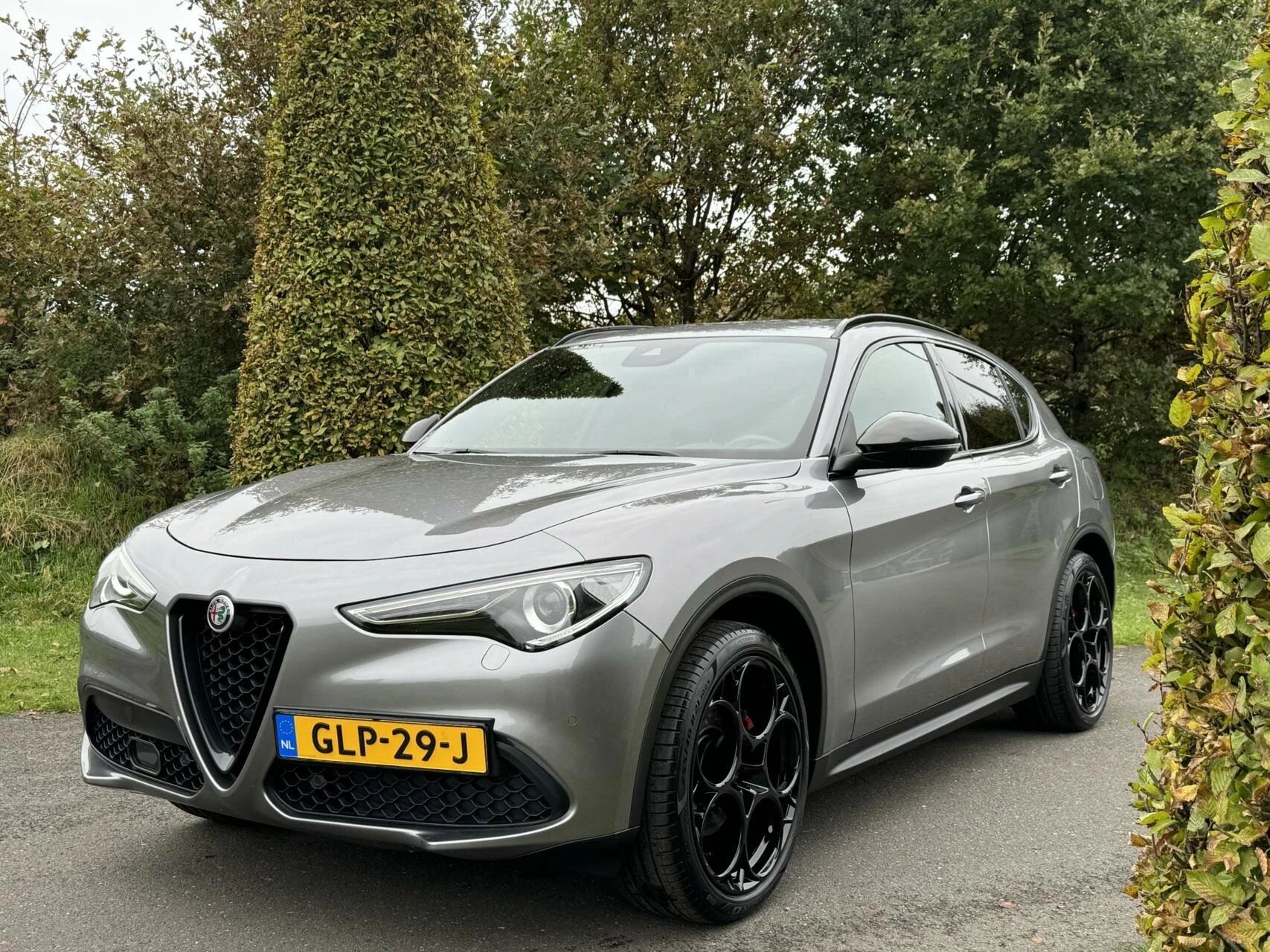 Hoofdafbeelding Alfa Romeo Stelvio