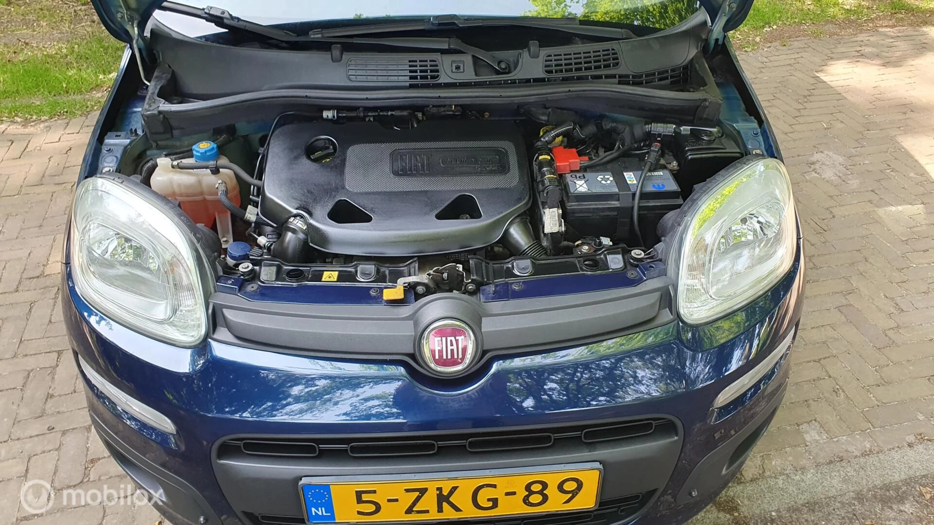 Hoofdafbeelding Fiat Panda