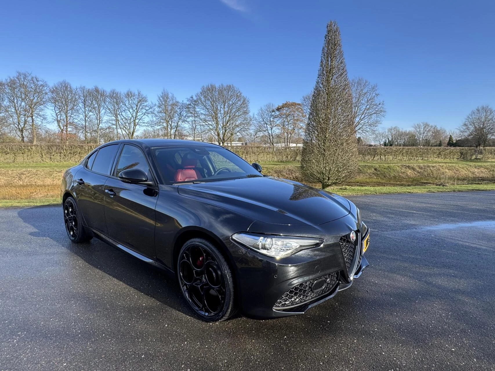 Hoofdafbeelding Alfa Romeo Giulia