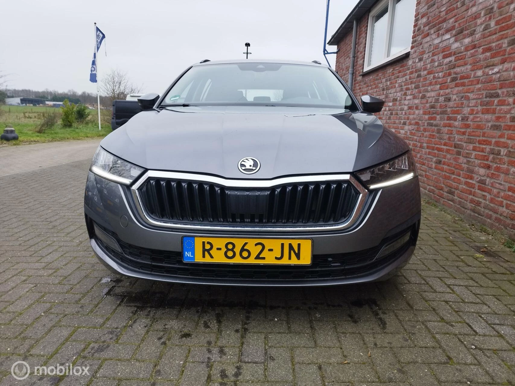 Hoofdafbeelding Škoda Octavia