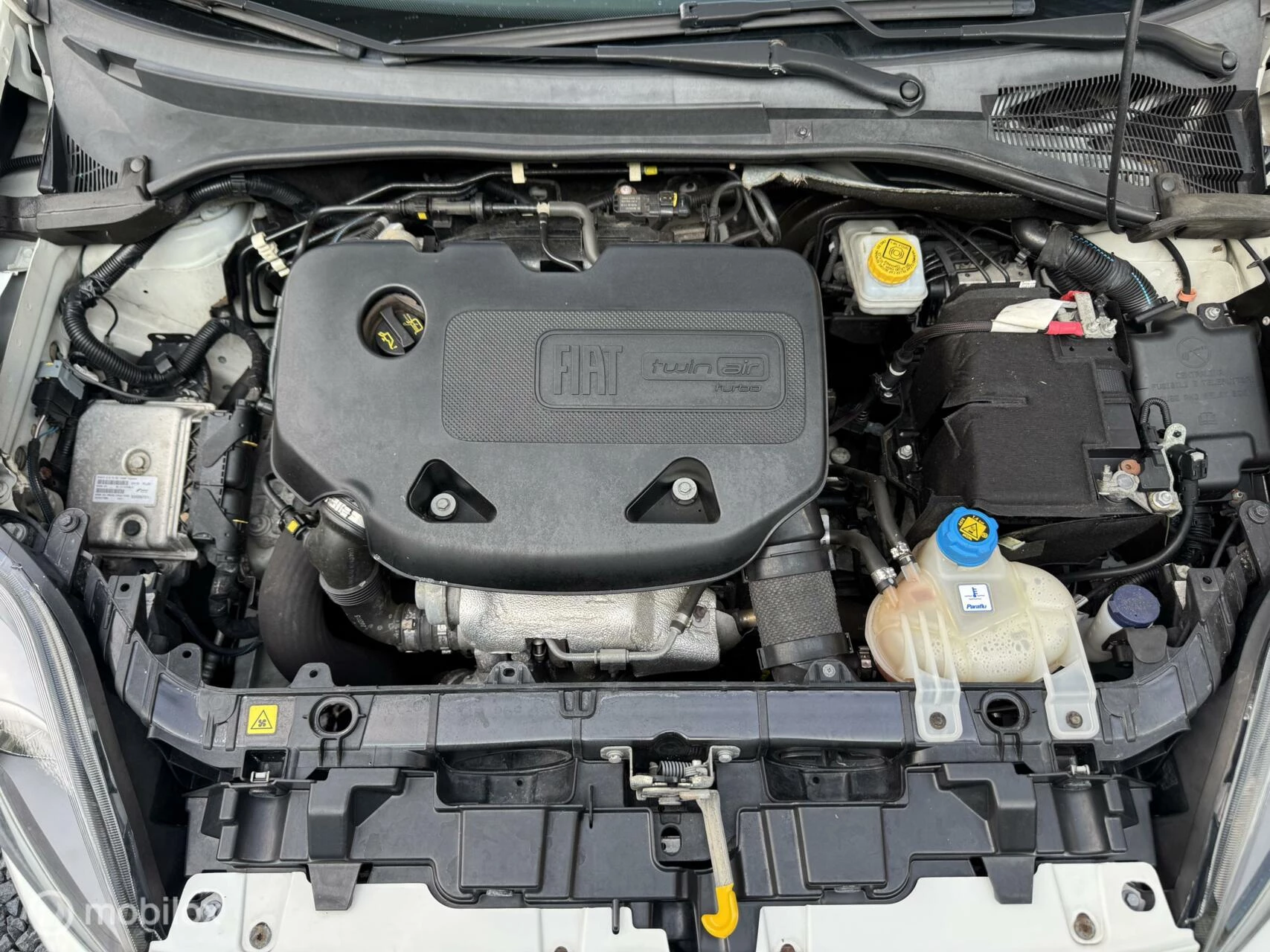 Hoofdafbeelding Fiat Punto