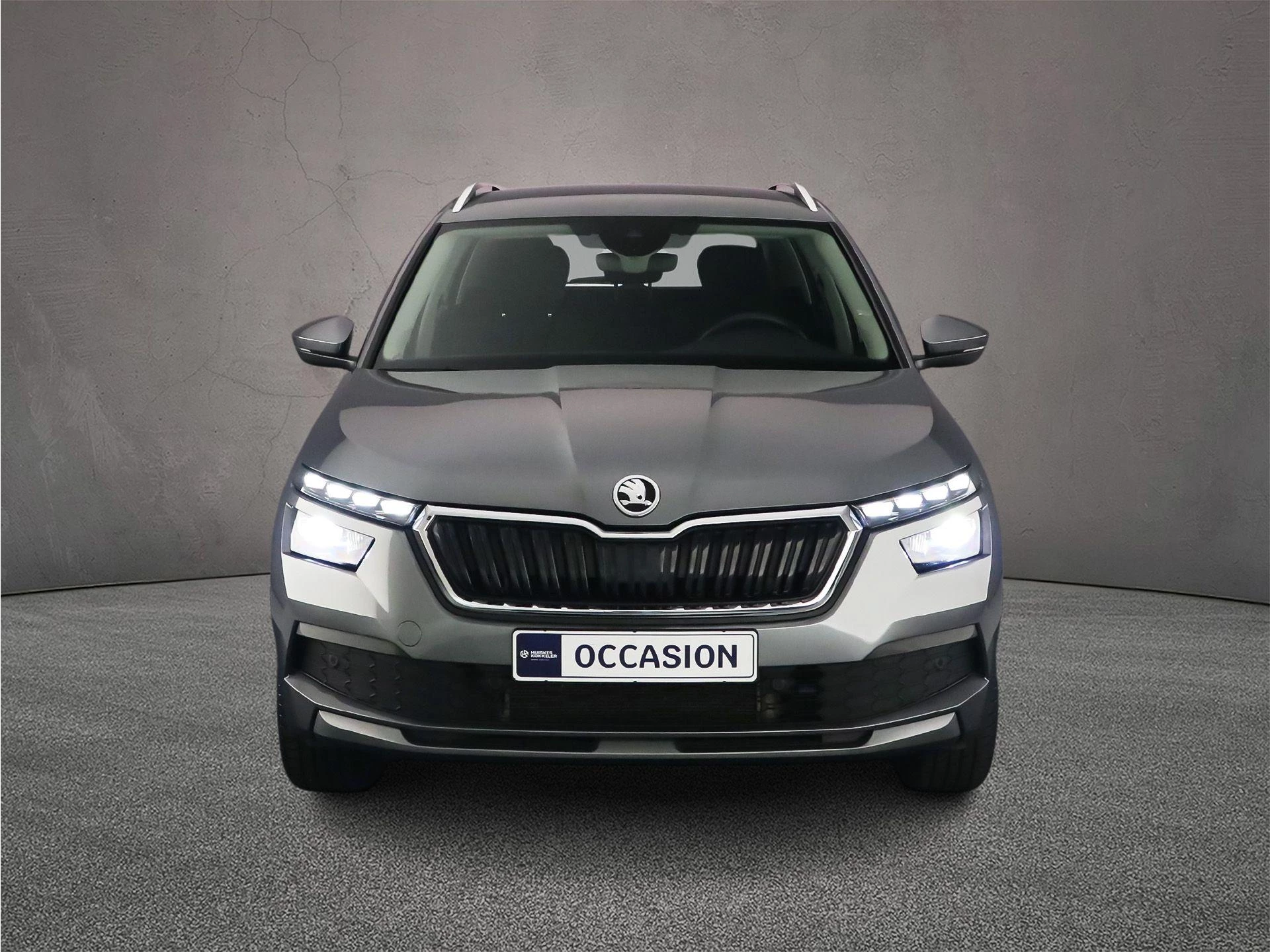 Hoofdafbeelding Škoda Kamiq