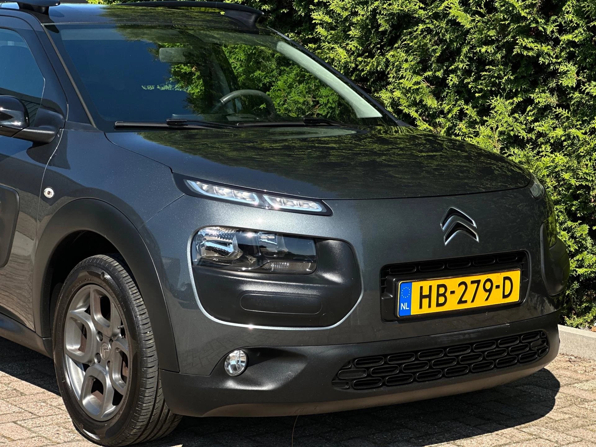 Hoofdafbeelding Citroën C4 Cactus