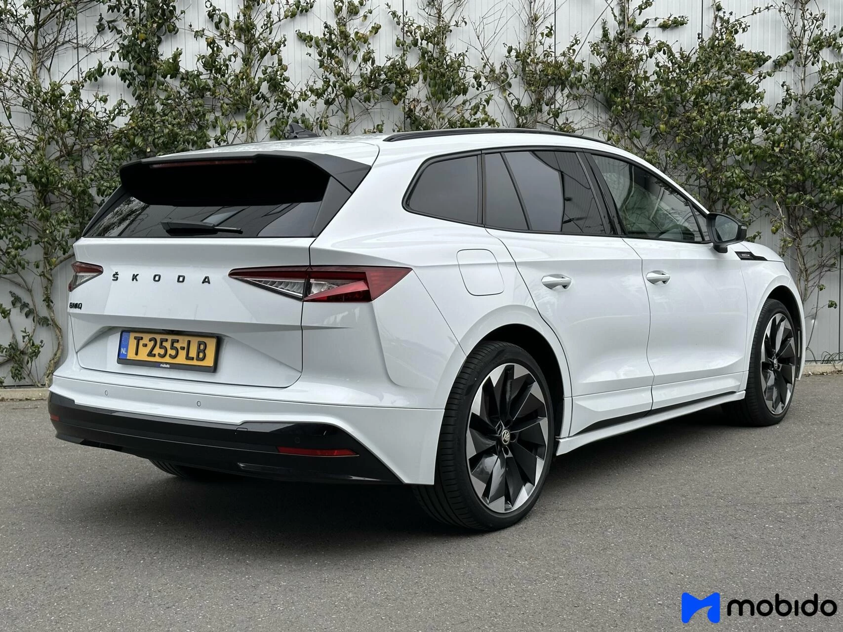Hoofdafbeelding Škoda Enyaq iV