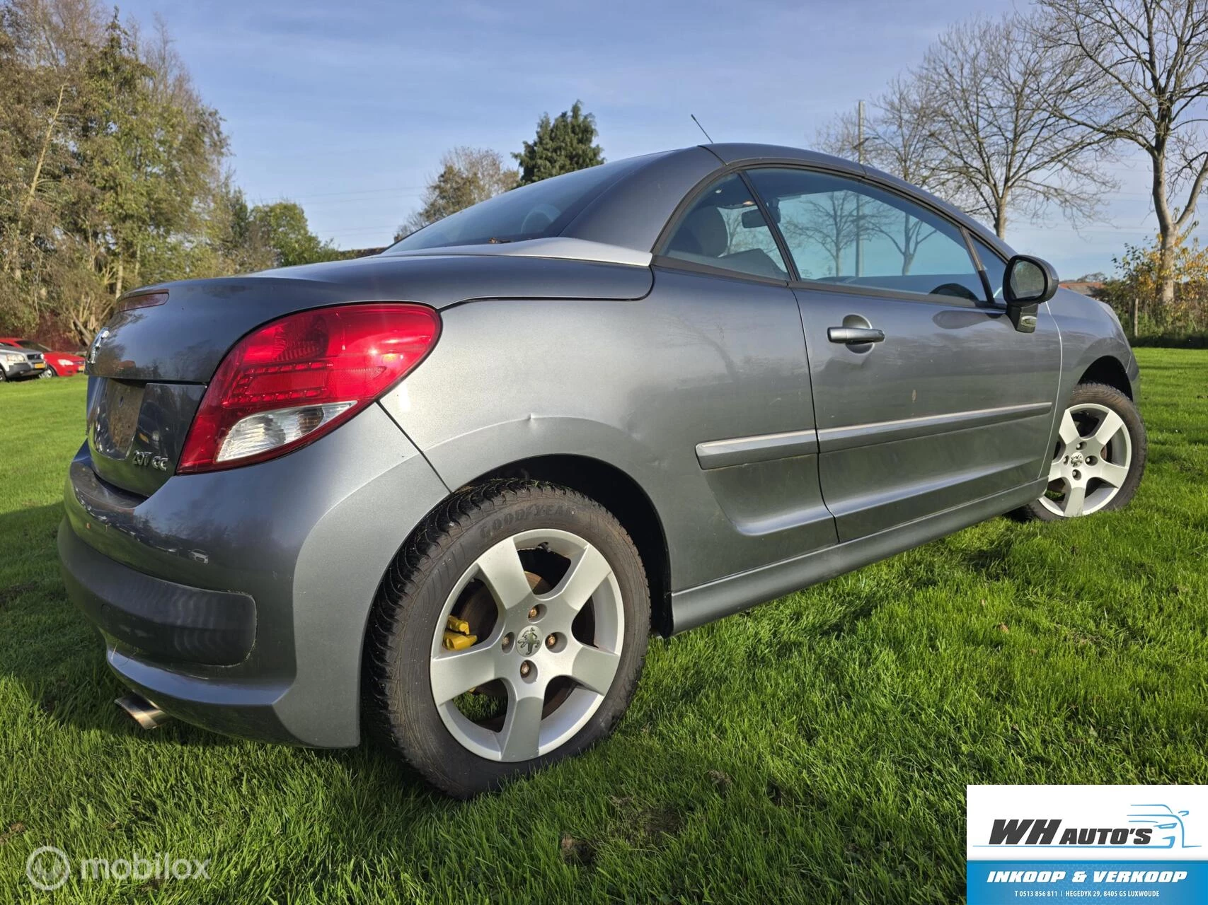 Hoofdafbeelding Peugeot 207