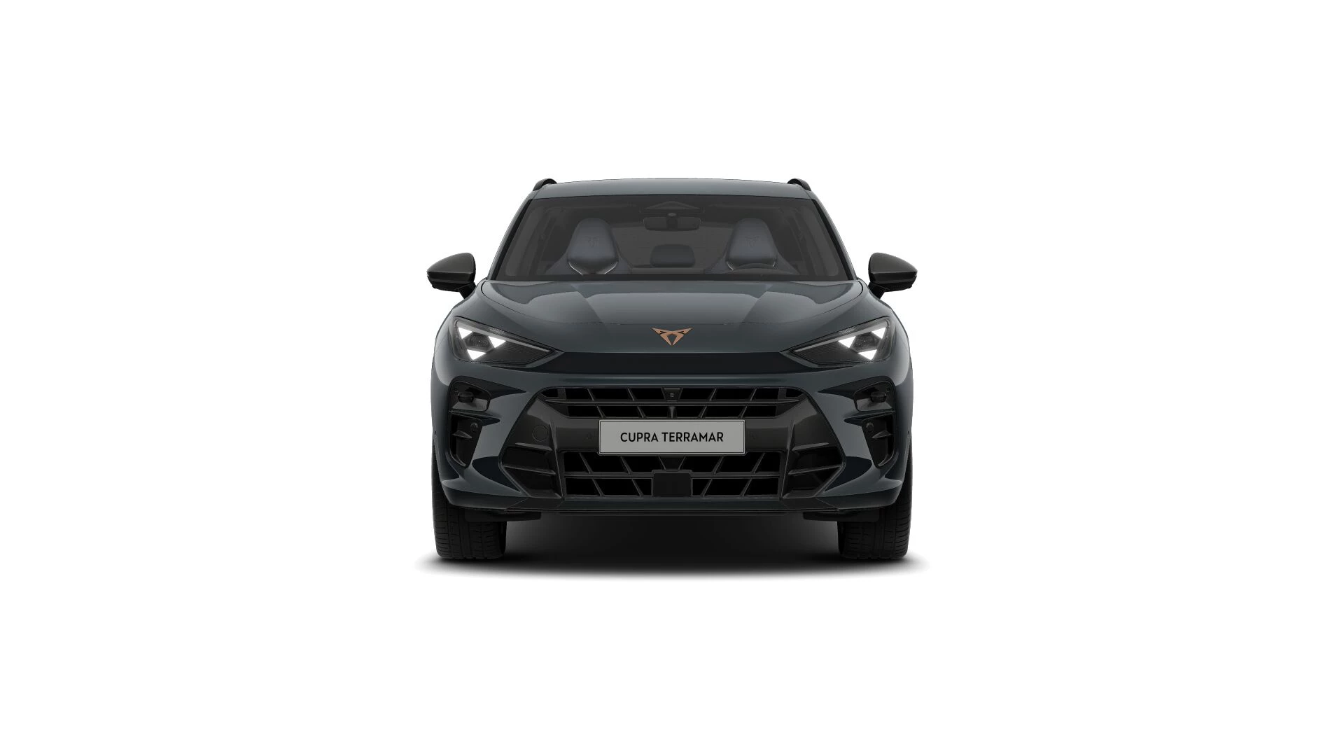 Hoofdafbeelding CUPRA Terramar