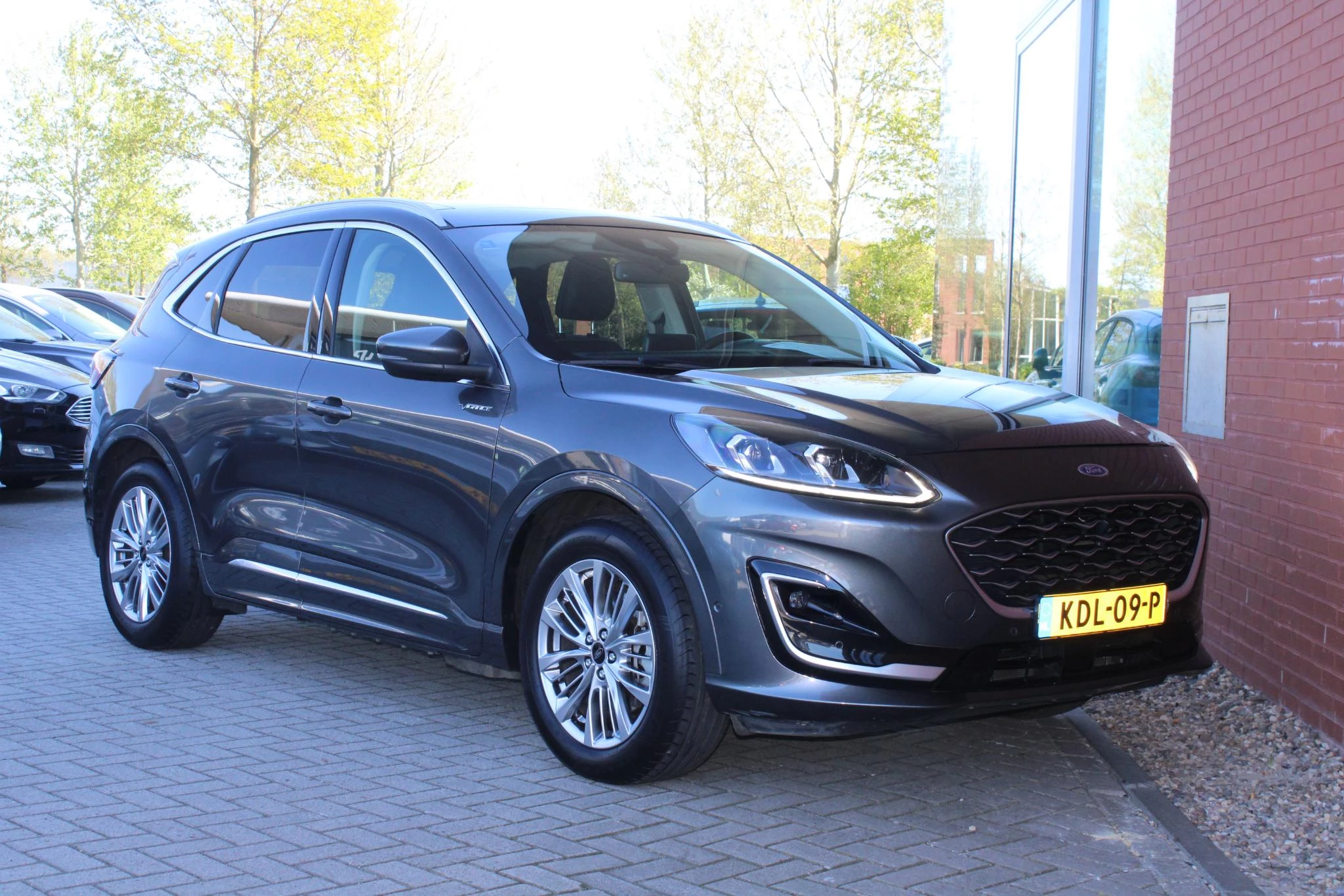 Hoofdafbeelding Ford Kuga