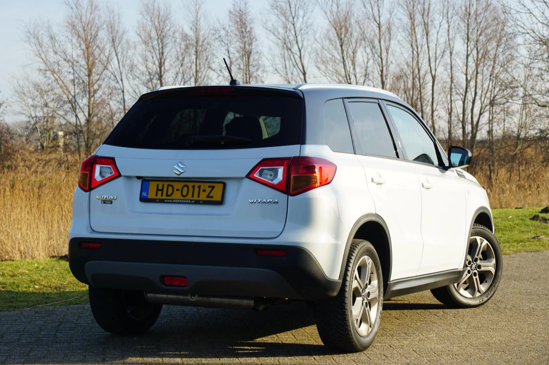 Hoofdafbeelding Suzuki Vitara