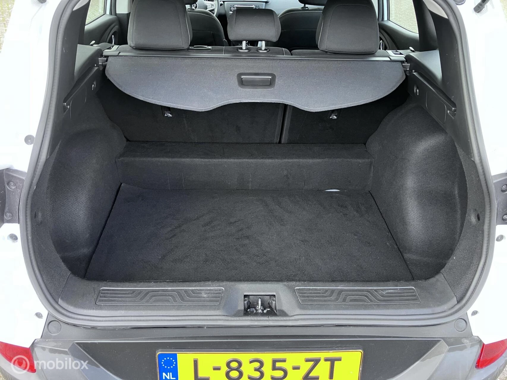 Hoofdafbeelding Renault Kadjar
