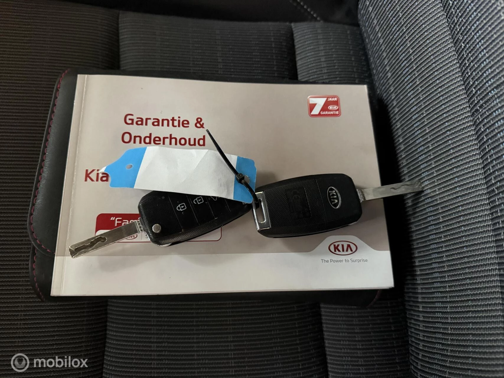 Hoofdafbeelding Kia Niro
