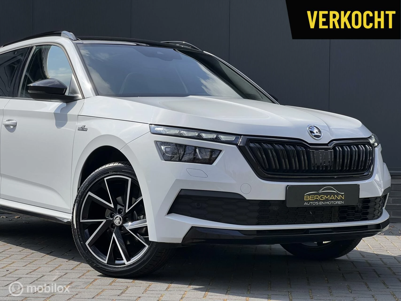 Hoofdafbeelding Škoda Kamiq