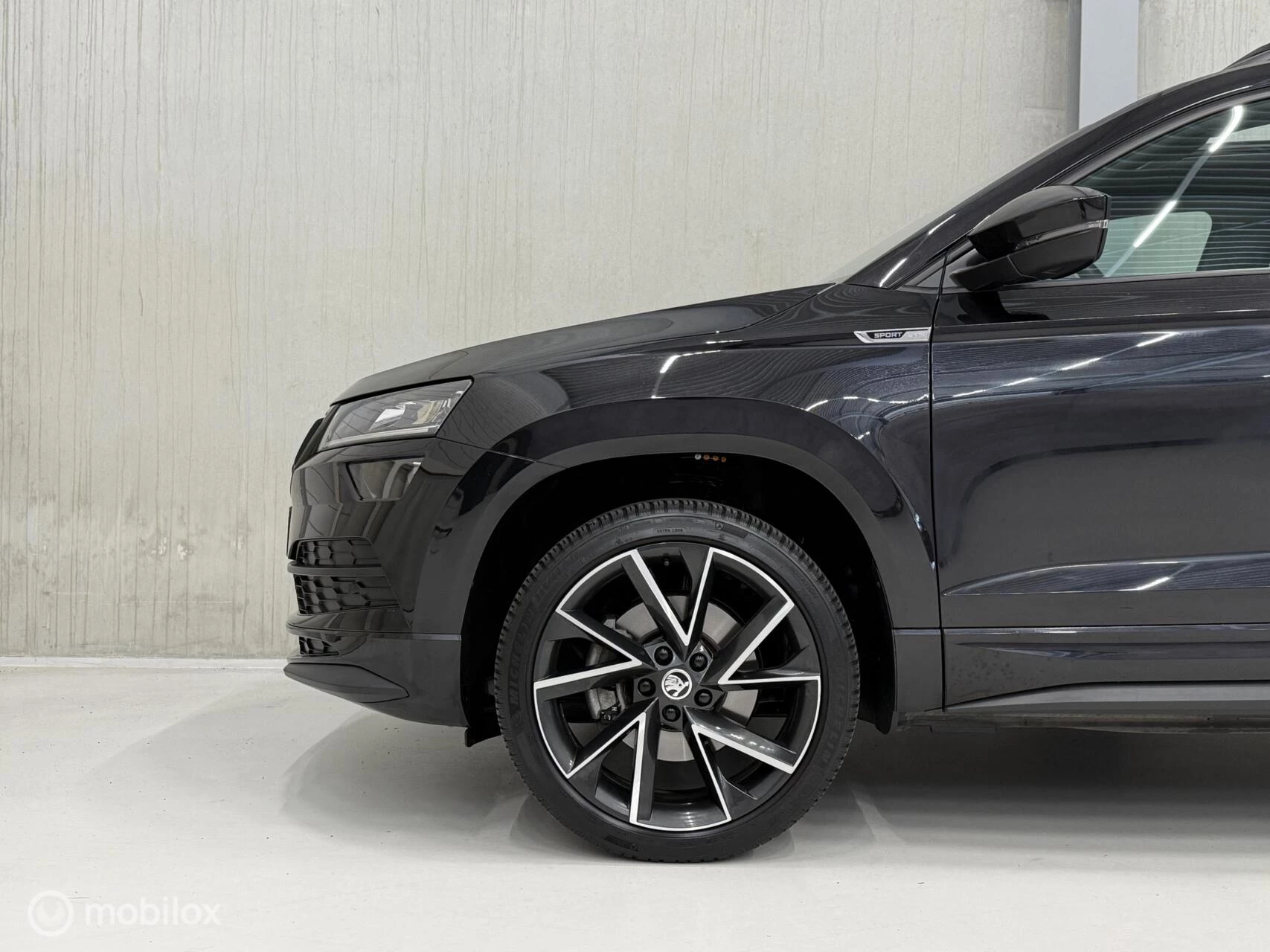 Hoofdafbeelding Škoda Karoq