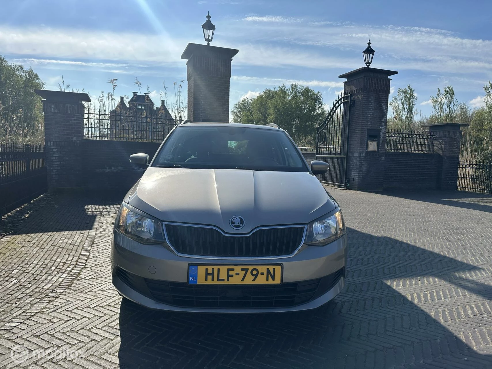 Hoofdafbeelding Škoda Fabia