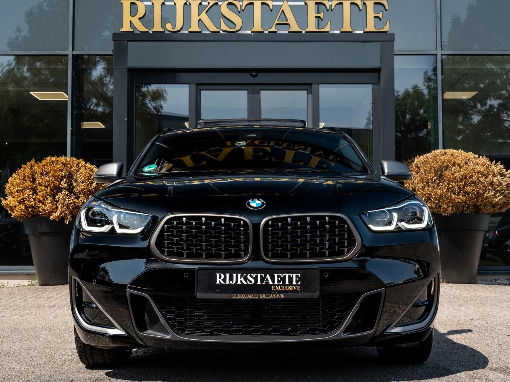 Hoofdafbeelding BMW X2