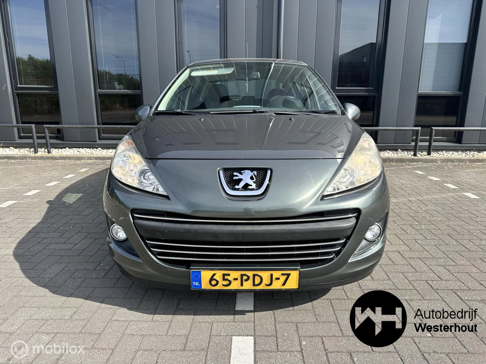 Hoofdafbeelding Peugeot 207