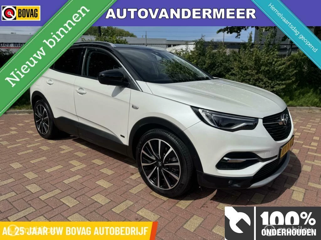 Hoofdafbeelding Opel Grandland X