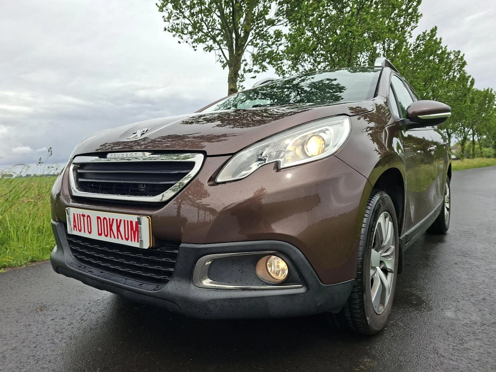 Hoofdafbeelding Peugeot 2008