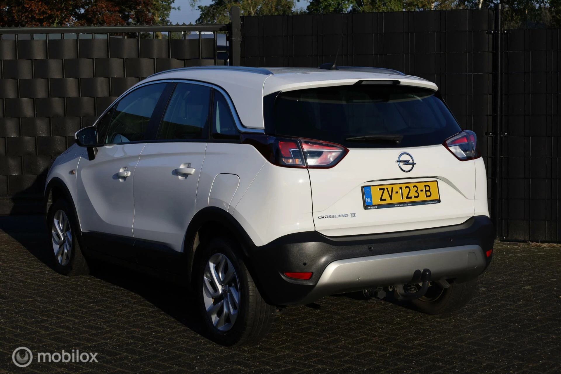 Hoofdafbeelding Opel Crossland X