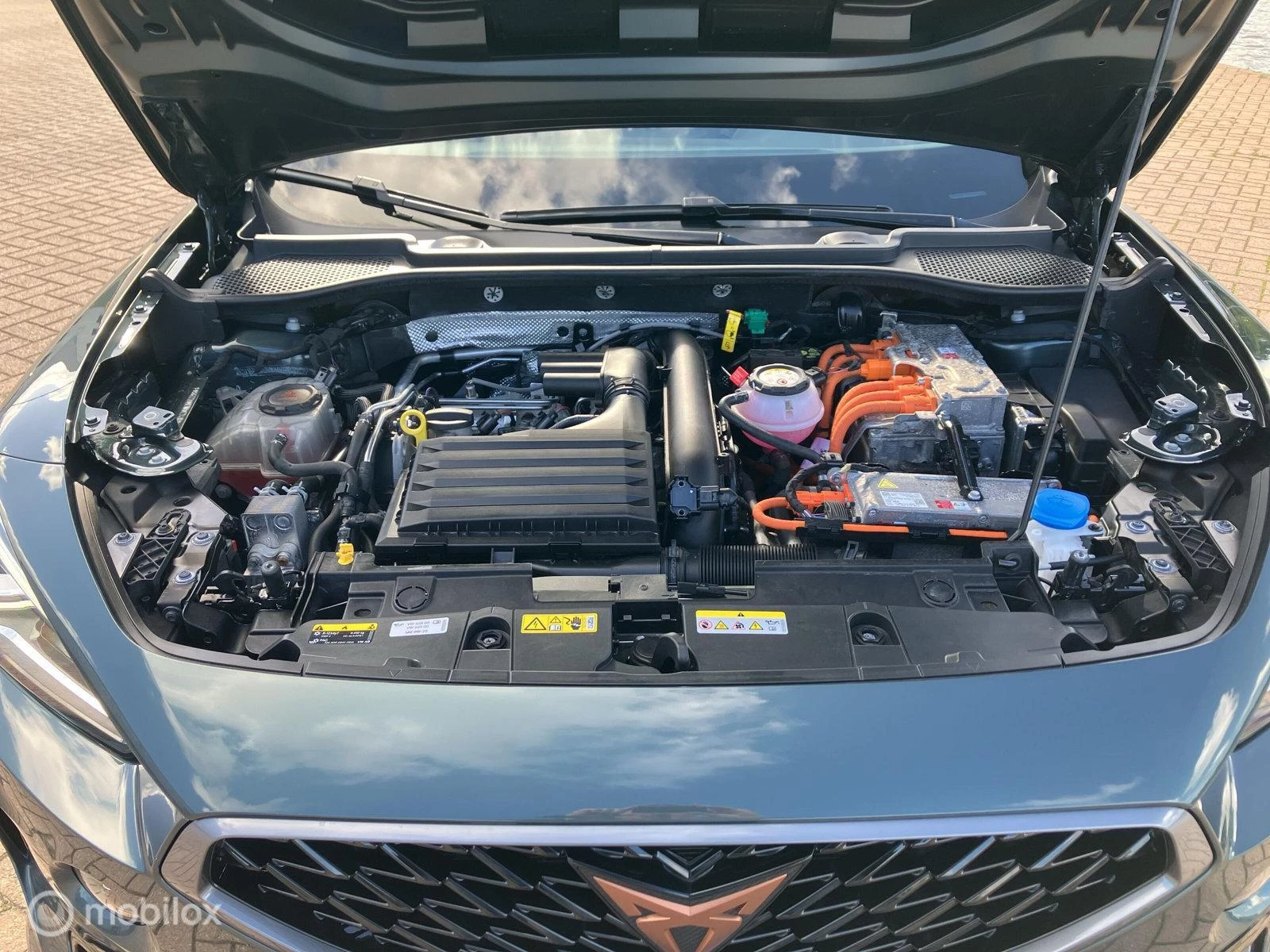 Hoofdafbeelding CUPRA Formentor