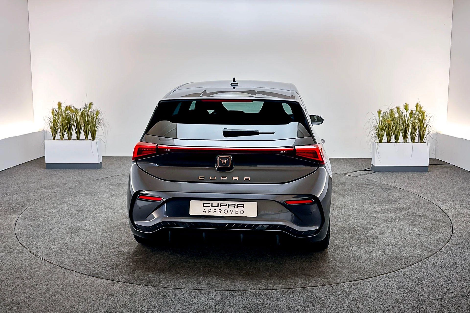 Hoofdafbeelding CUPRA Born