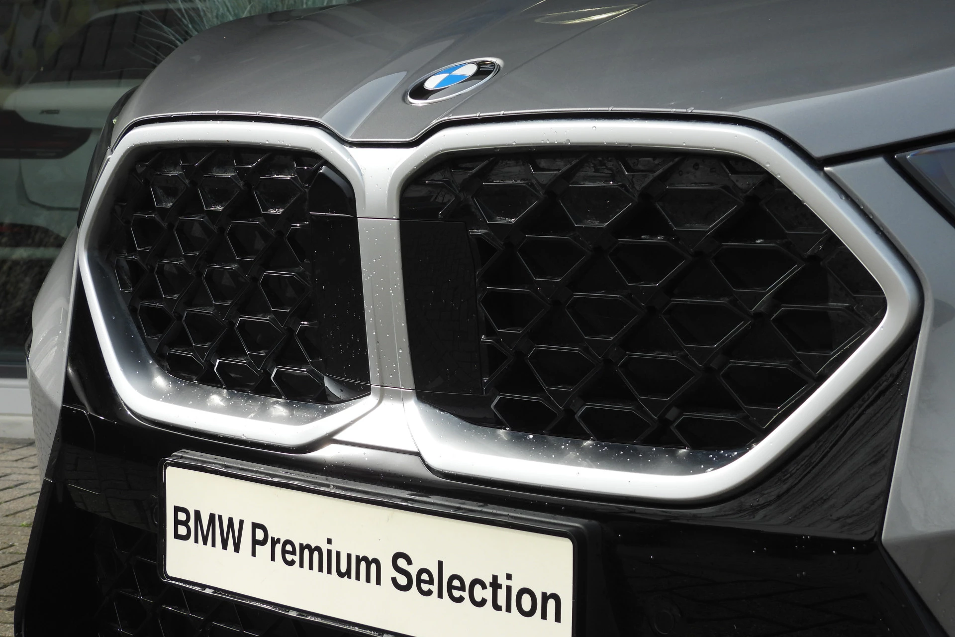 Hoofdafbeelding BMW X2