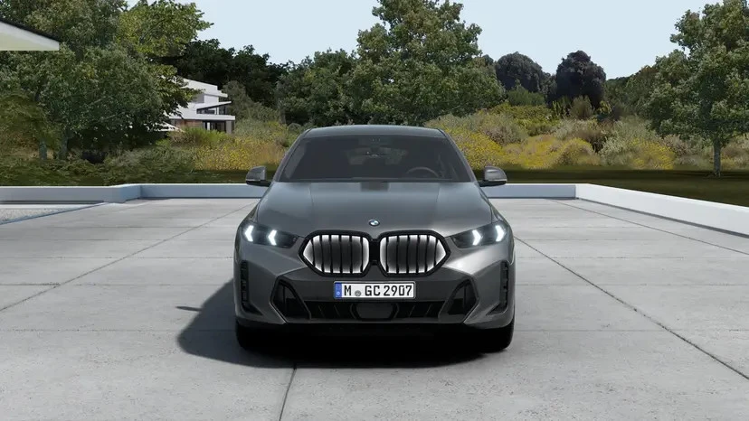 Hoofdafbeelding BMW X6
