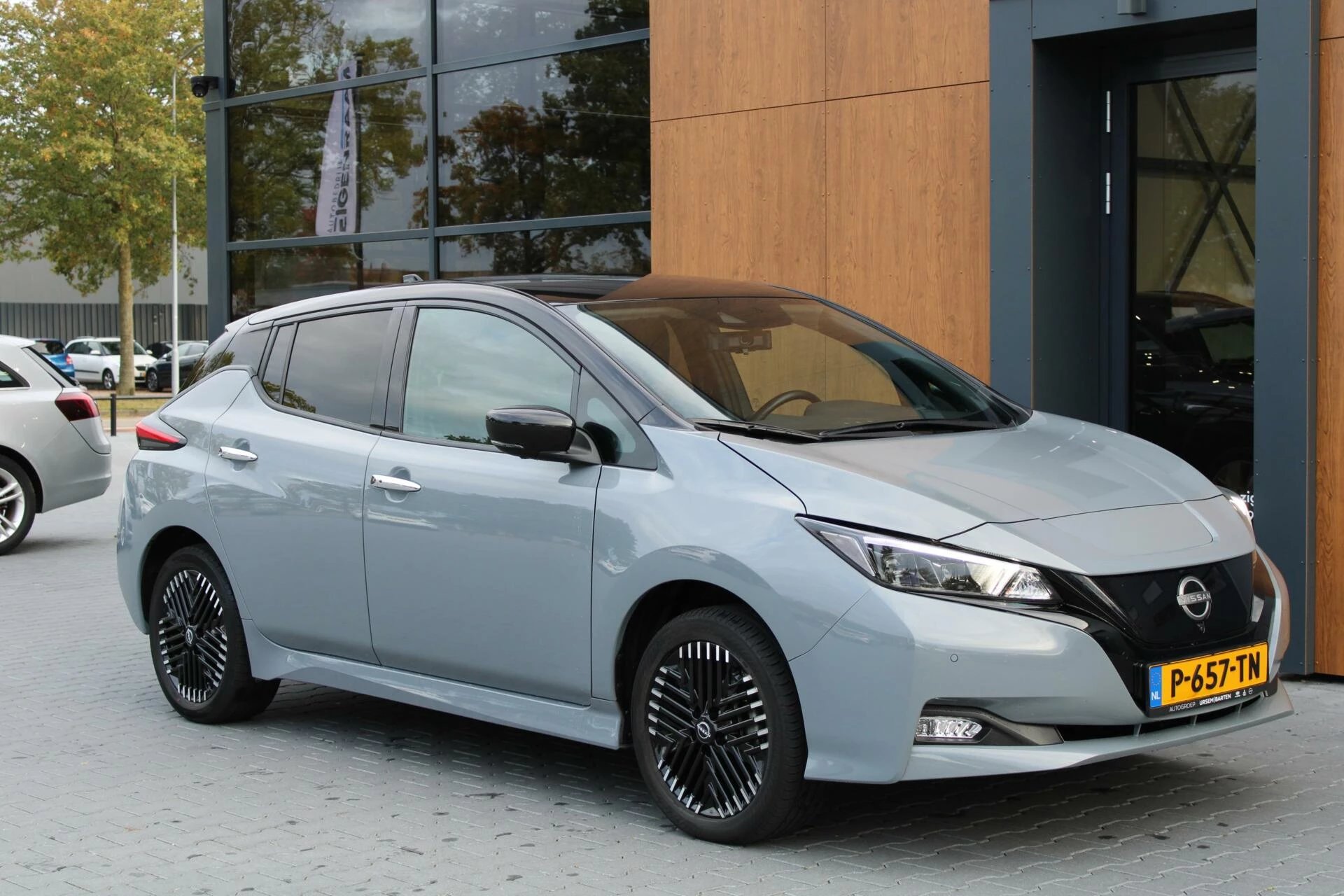 Hoofdafbeelding Nissan Leaf