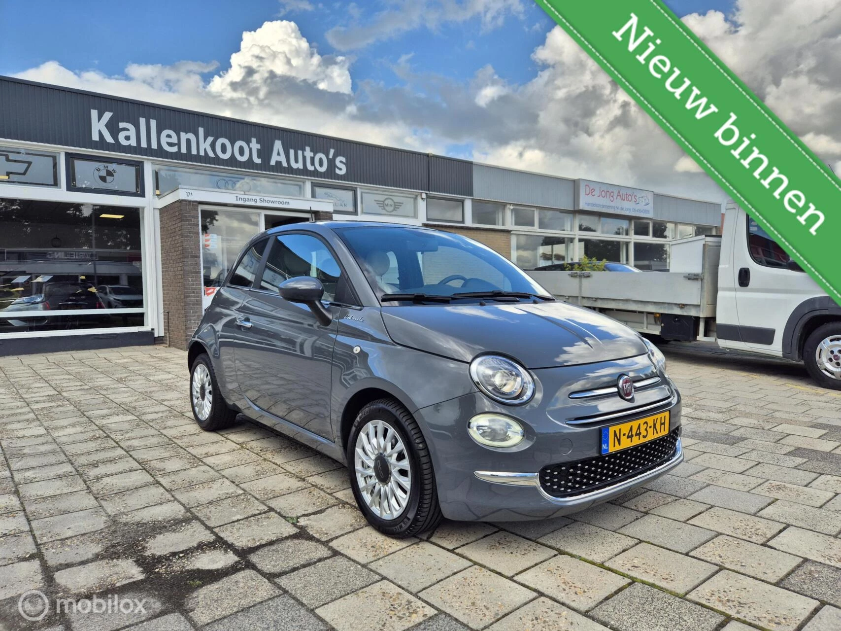 Hoofdafbeelding Fiat 500