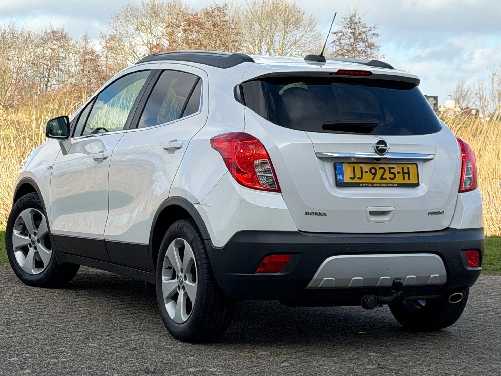 Hoofdafbeelding Opel Mokka