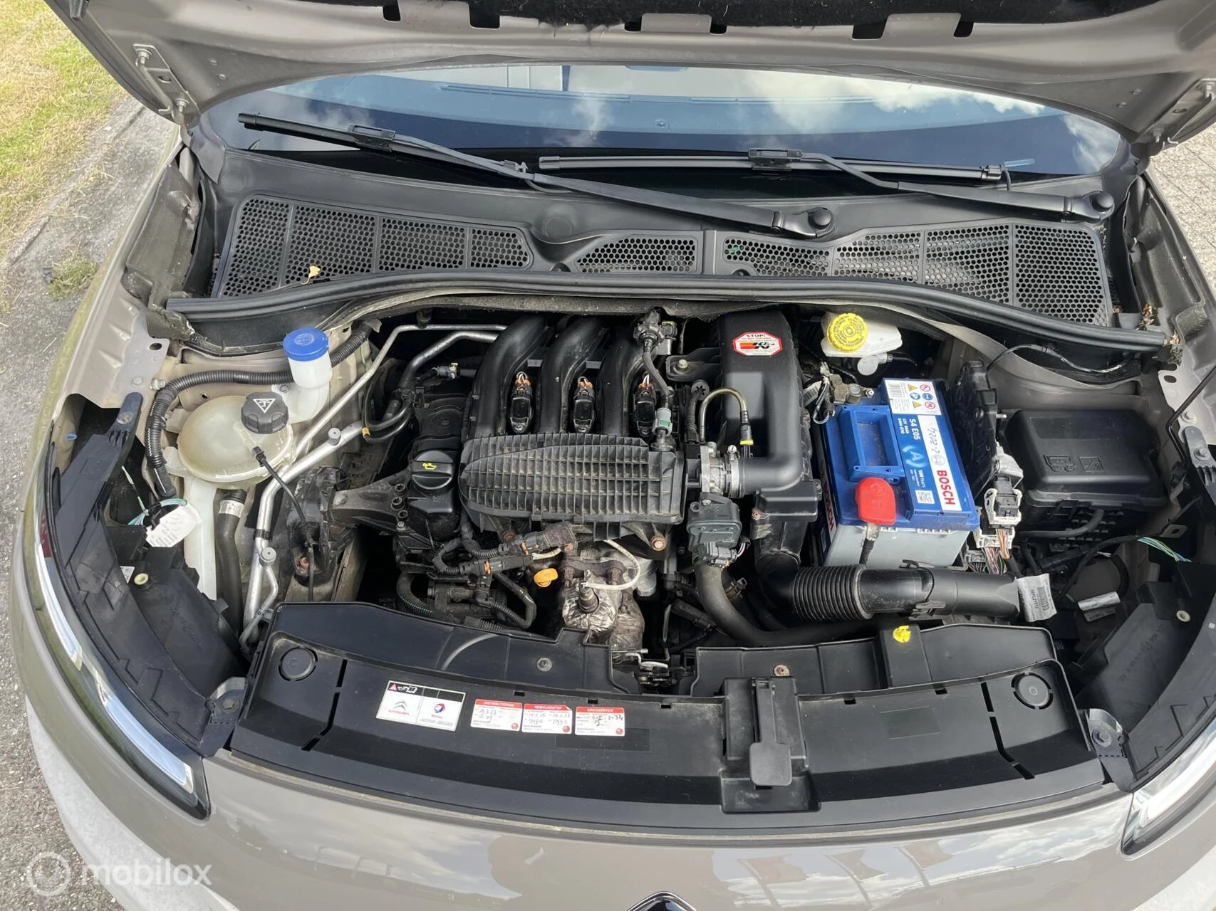 Hoofdafbeelding Citroën C4 Cactus