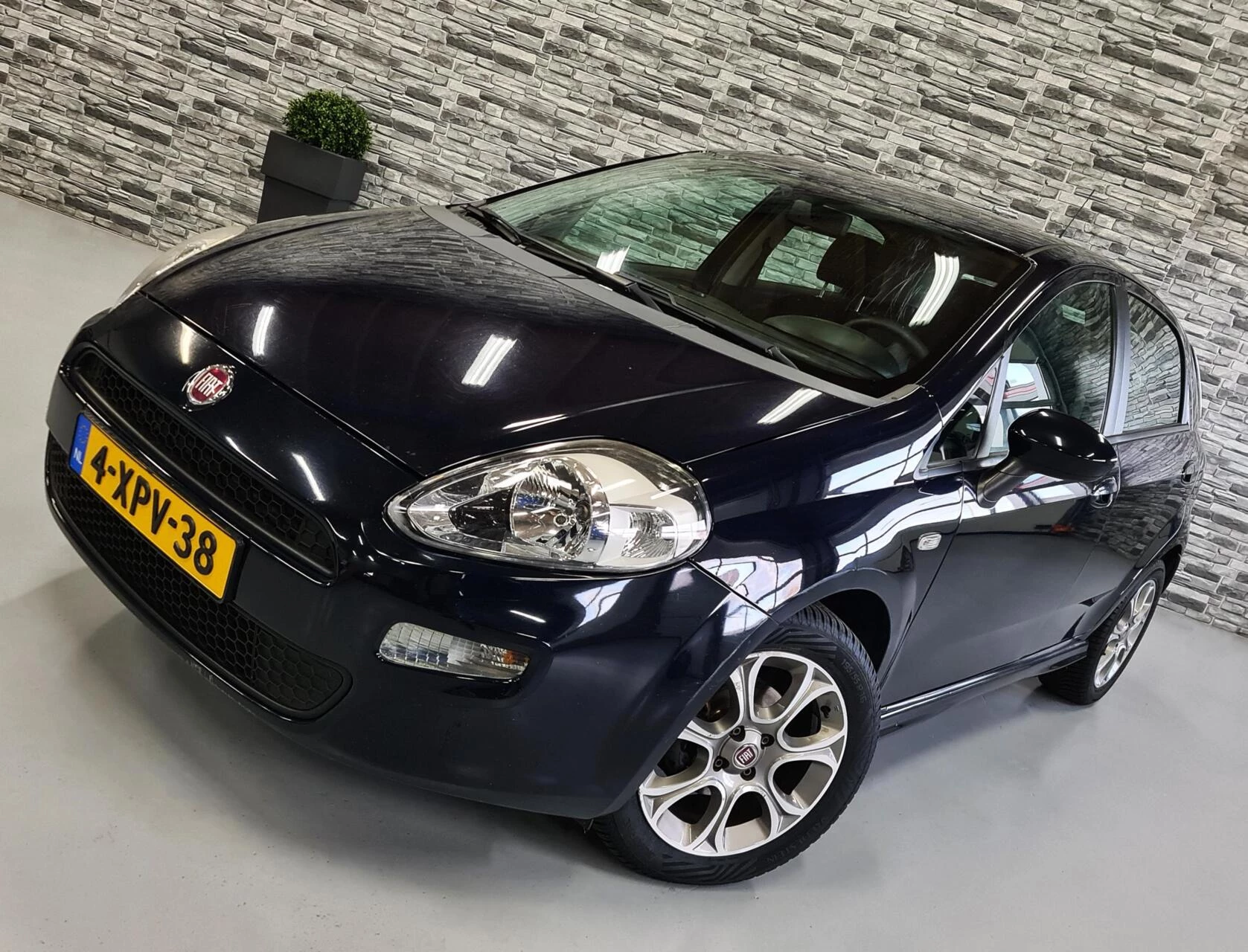 Hoofdafbeelding Fiat Punto