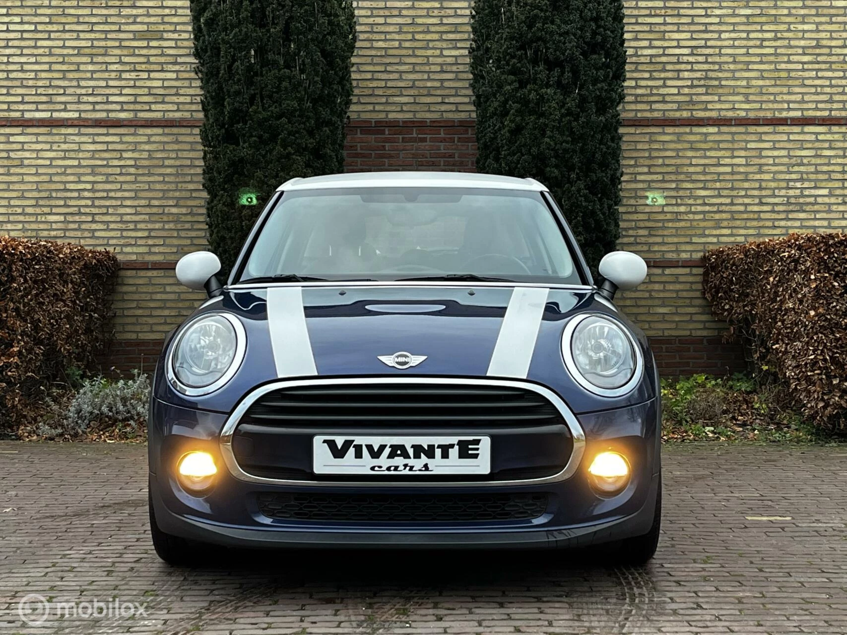 Hoofdafbeelding MINI Cooper