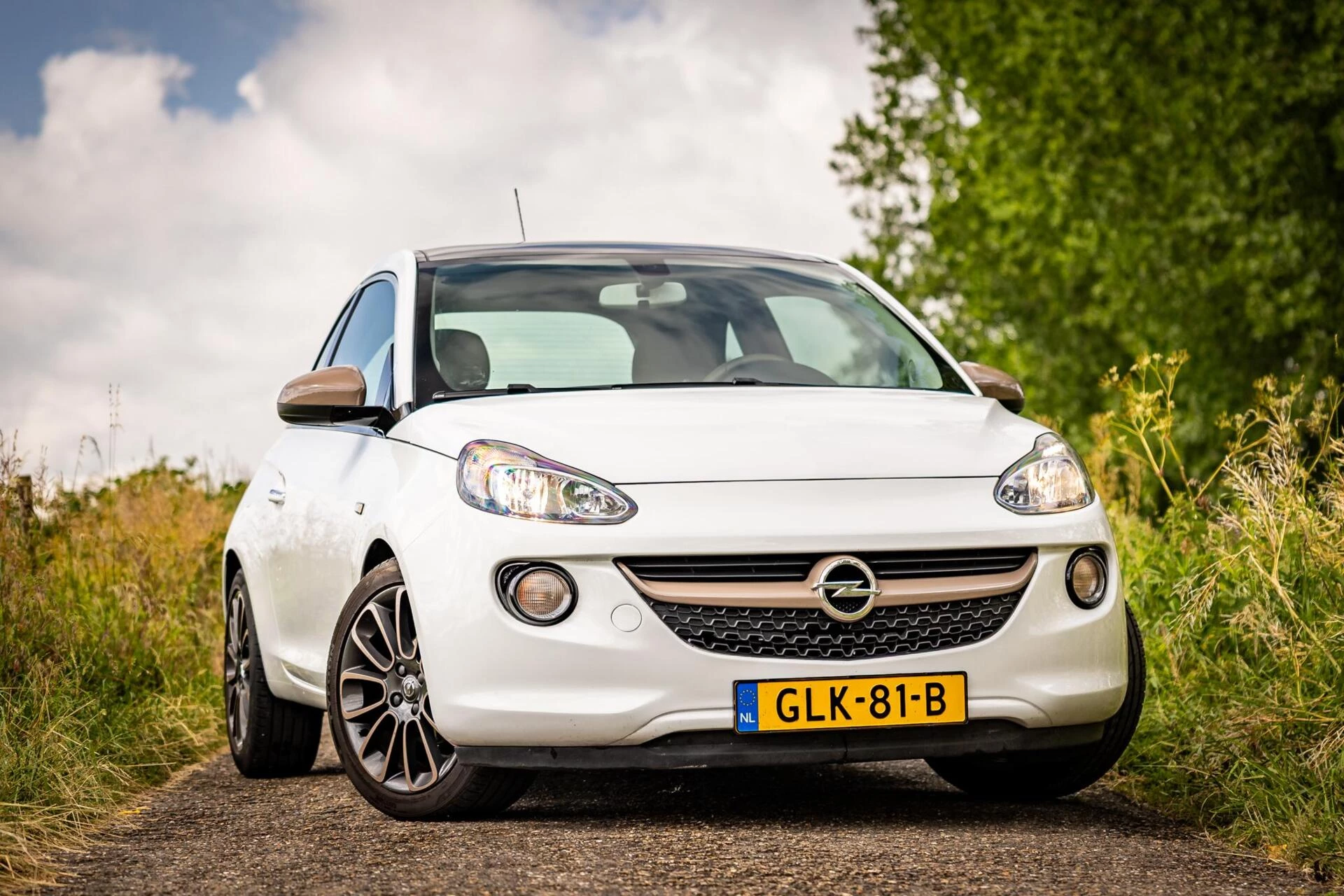 Hoofdafbeelding Opel ADAM