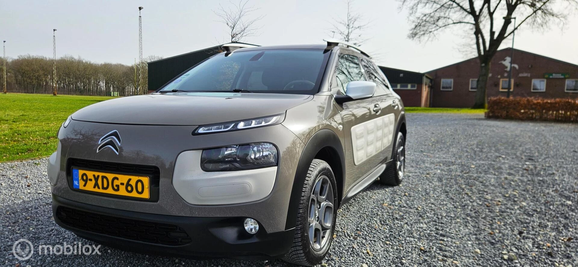 Hoofdafbeelding Citroën C4 Cactus