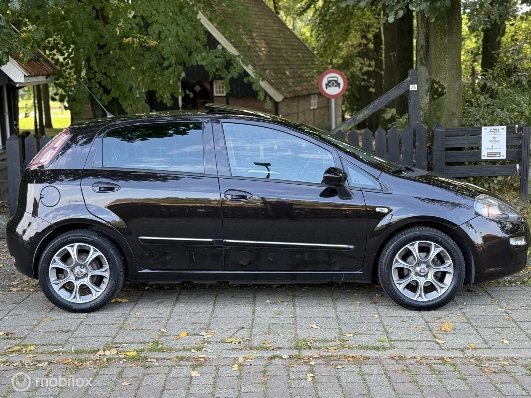 Hoofdafbeelding Fiat Punto