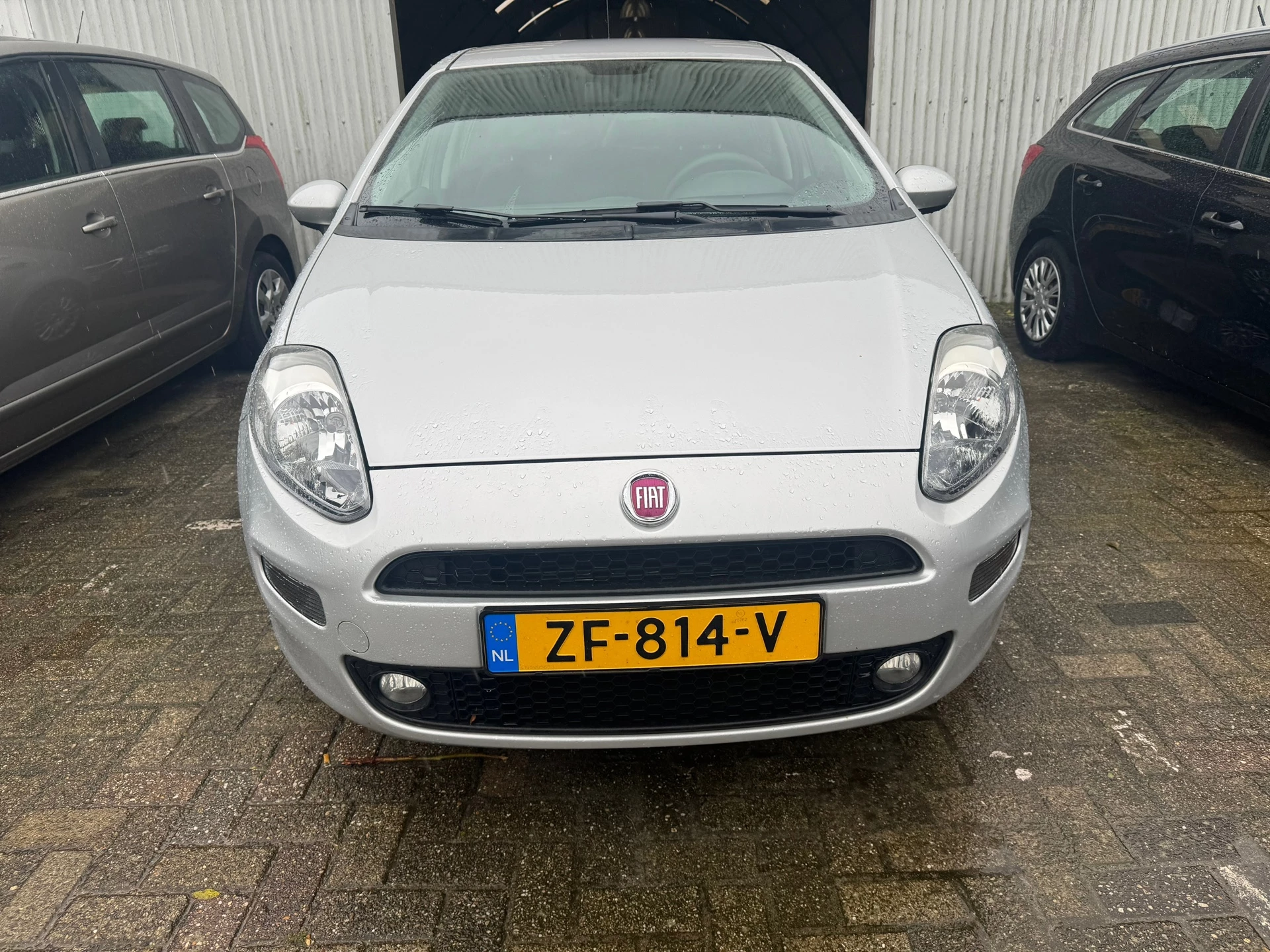 Hoofdafbeelding Fiat Punto
